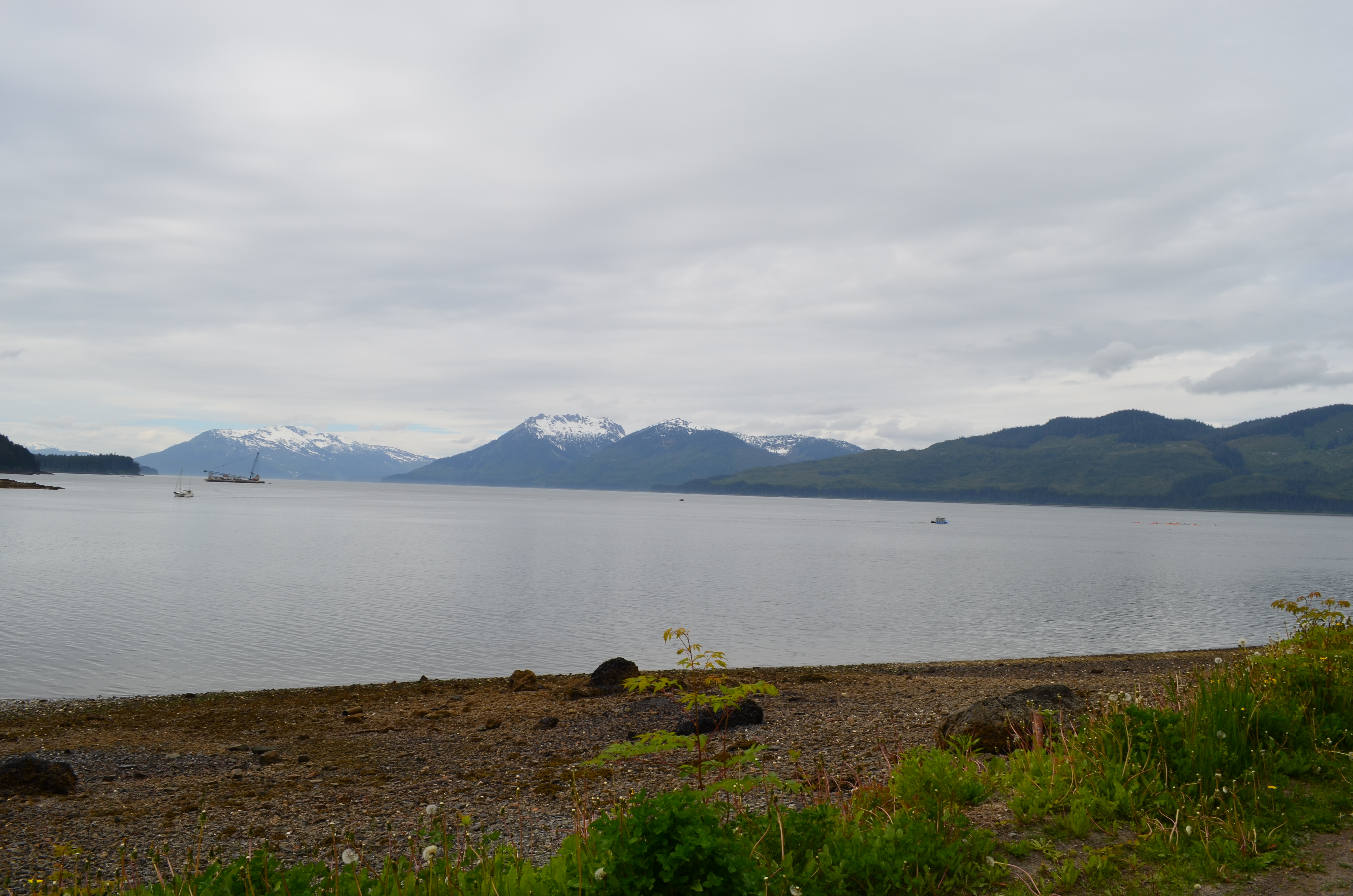 ./2017/08 - Alaska Cruise/10 - Icy Strait Point/DSC_0351.JPG
